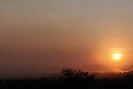 Namibia_August (90/135)